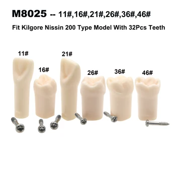 10шт зубных протезов Стандартной практики С ввинчивающимися зубьями Модель M8025 11# 16# 21# 26# 36# 46# Подходят для Kilgore Nissin 200 типа
